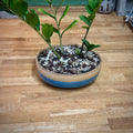 PLANTER - BLUE W/ RAW CLAY RIM