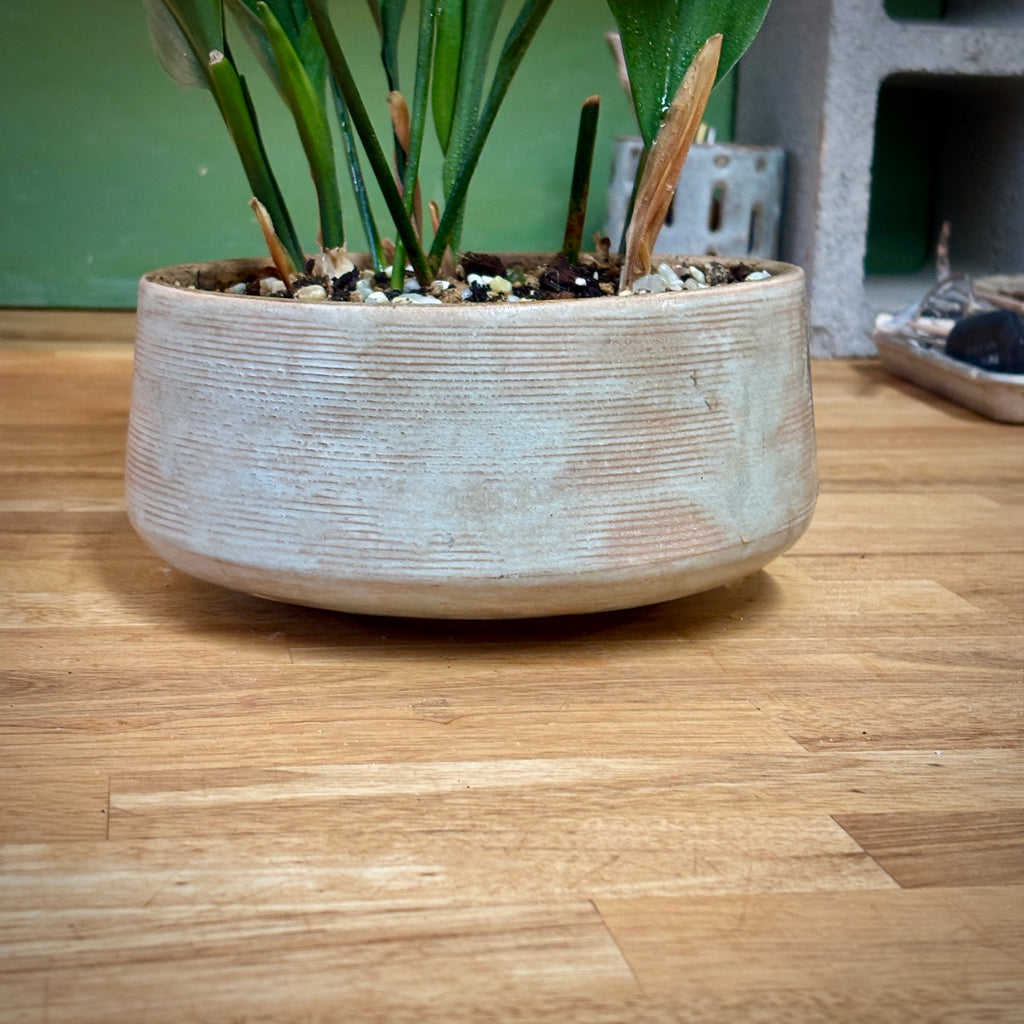 PLANTER - WHITE RIBBED