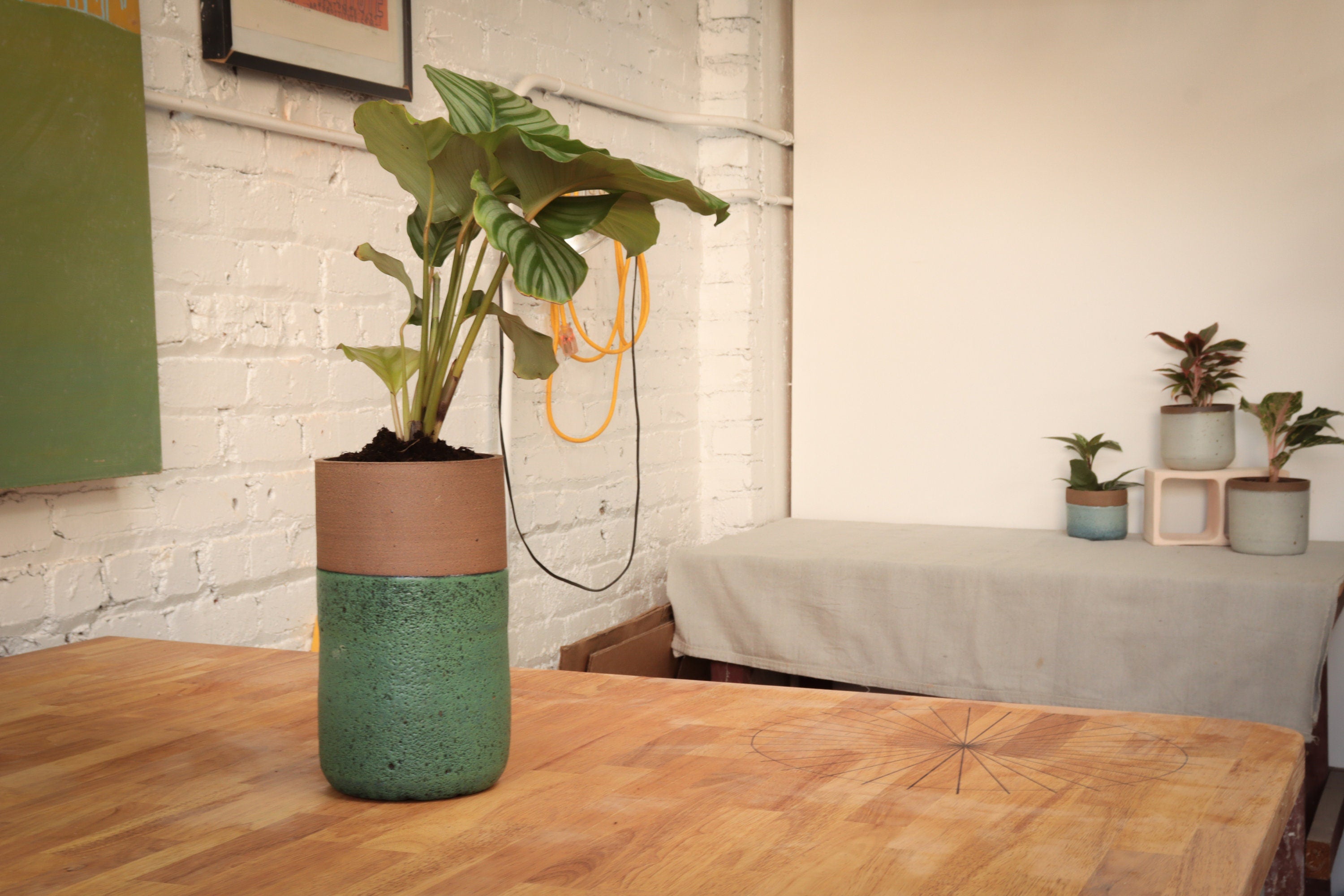 Large flower pot
