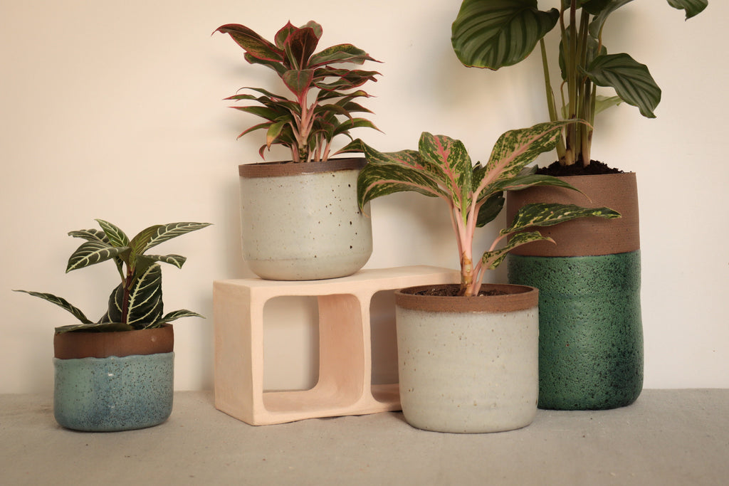 Large flower pot