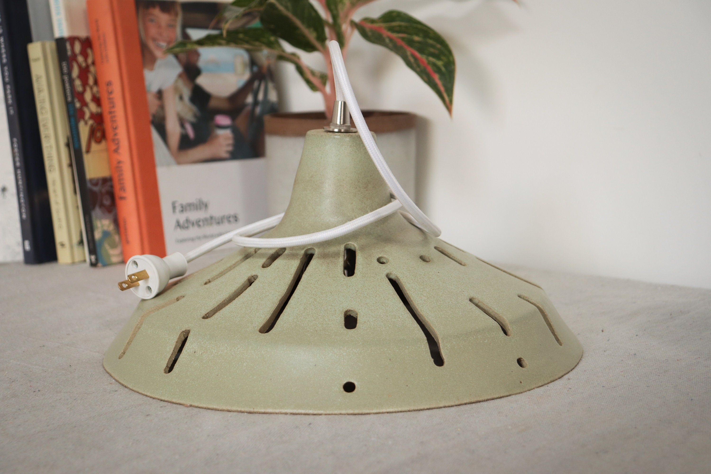 13.5” MOSS BARN SHADE PENDENT LAMP
