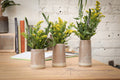 Small 3 piece flower vases